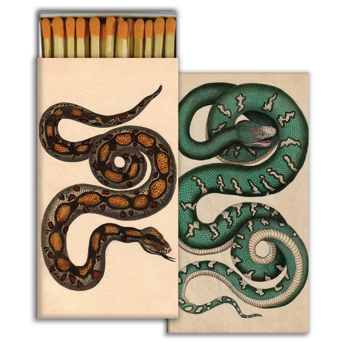 Snake Matches